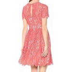 Eliza J Women's Lace Fit and Flare Dress