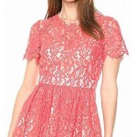 Eliza J Women's Lace Fit and Flare Dress