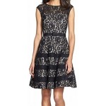 Eliza J Women's Lace Fit and Flare Dress