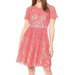 Eliza J Women's Lace Fit and Flare Dress