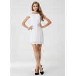 Polyester/Chiffon With Lace Above Knee Dress